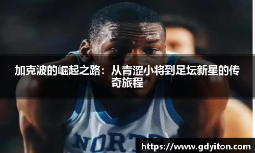 hb火博体育赛事